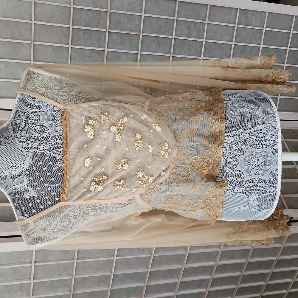 Free People sheer beige see through top.